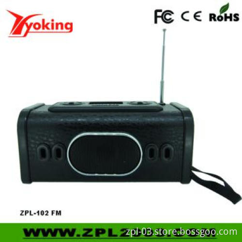 FM Radio Mini Speaker with USB Connect (ZPL-102 FM )